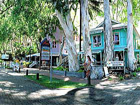 pics001